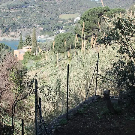 Il Poggio Del Tramonto Apartment *